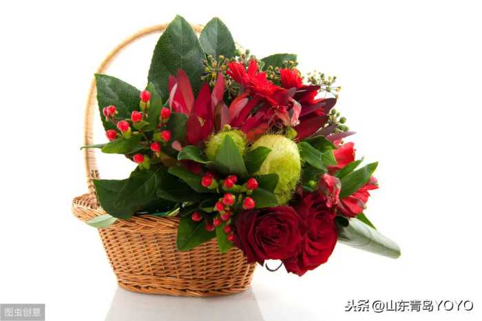 鲜花花卉在礼仪中的五种应用