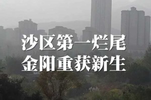 实地航拍！重庆“烂尾楼”金阳第一农场最新工程进度