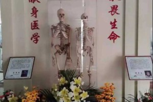 夫妻两人捐献遗体，14年后特殊“重逢”，两架白骨并排“站立”