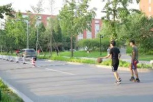 北京体育大学的健身房走红，爆笑：同学，请问去教室的路怎么走啊